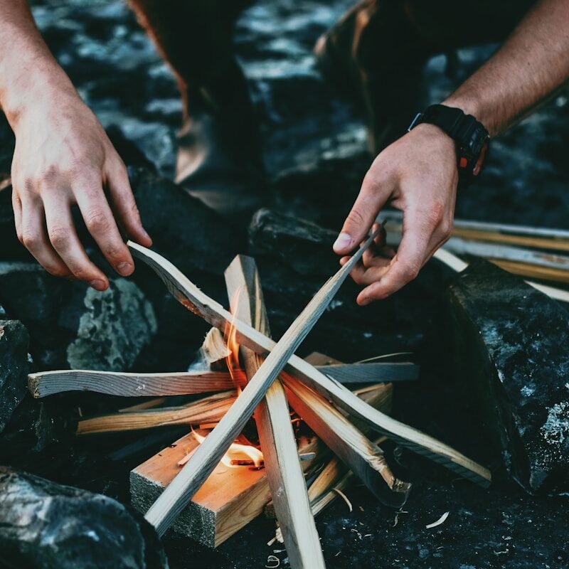 Bases de la survie